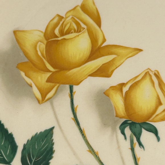 Simplicity Yellow Rose Dinner Plate by Canonsburg the Hallmark of quality 10in - Picture 3 of 7